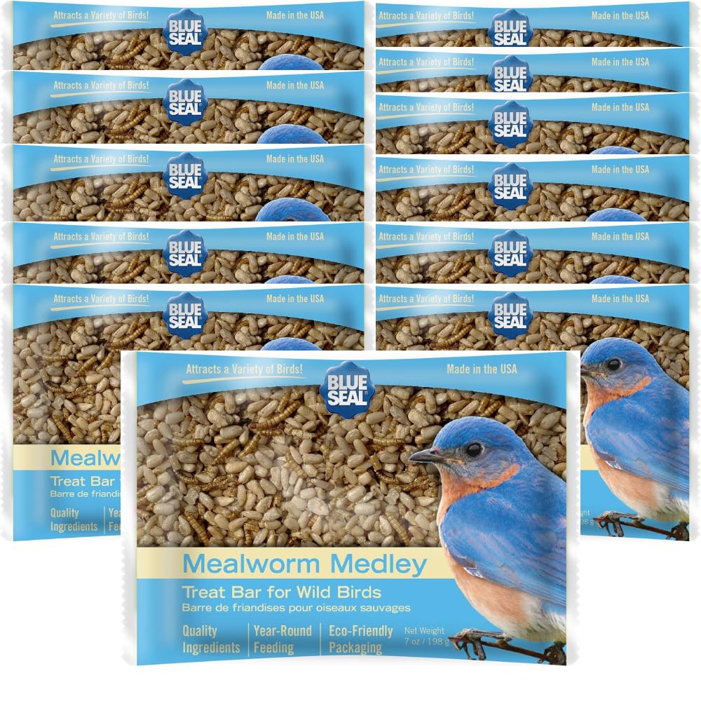 Blue Seal Mealworm Medley suet bars twelve-pack no-mess feeding for year-round birds