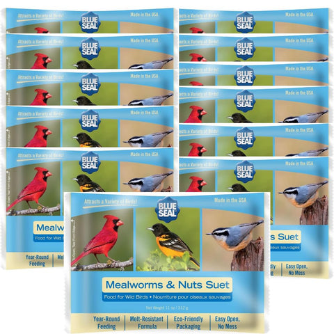 Blue Seal suet cakes packaging highlights mess-free design for backyard birds.