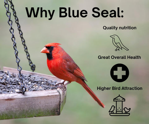 Blue Seal Nature's Choice made in USA 8-pound bag for home feeders