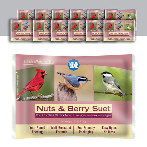 Blue Seal nuts & berry suet cake pack of 12 ready for backyard birds