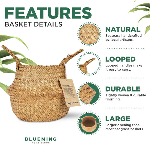 Blueming Home Decor basket planter with olive tree display, adds natural texture to interiors.