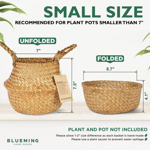 Blueming Home Decor basket planter with snake plant setup, elevates indoor greenery.