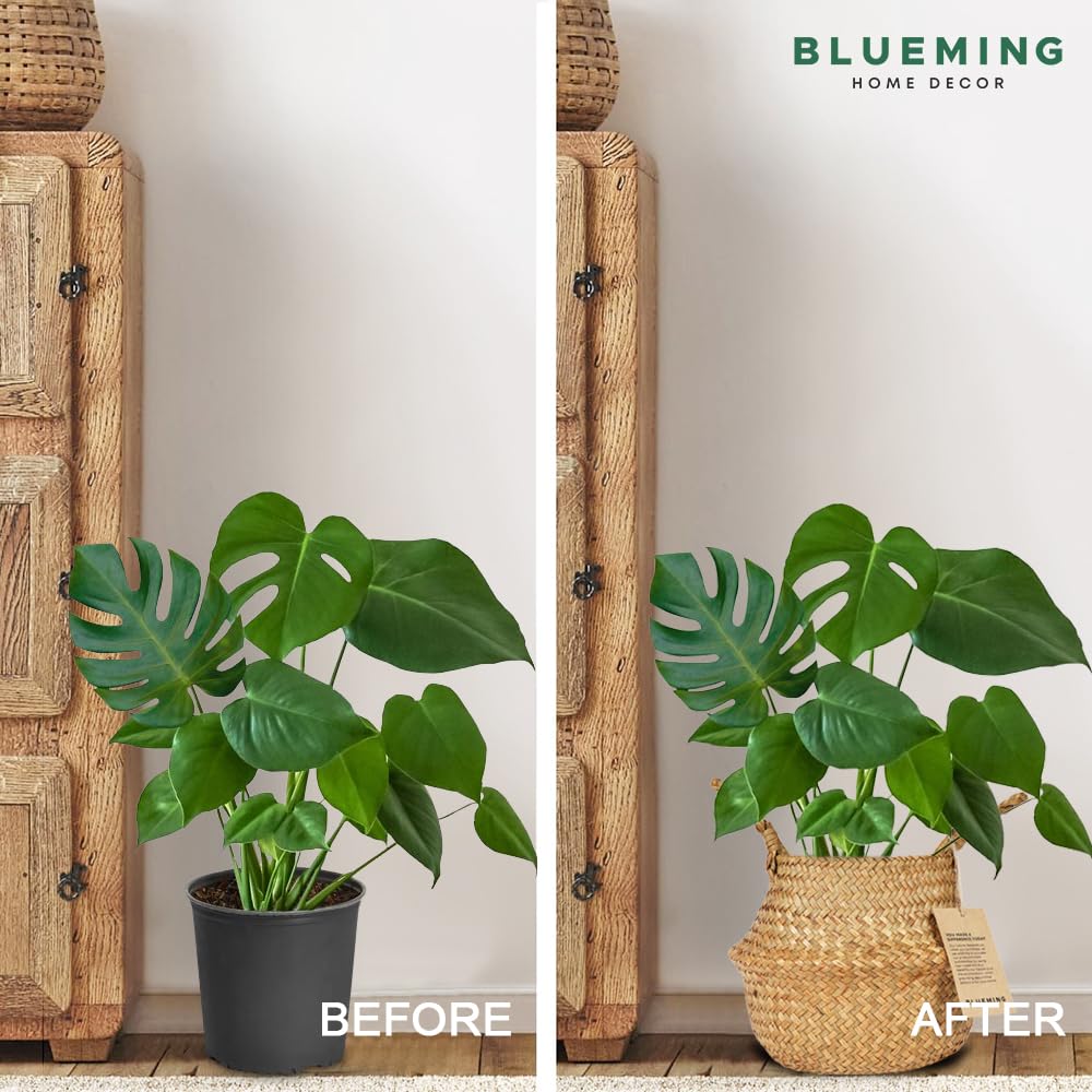 Blueming Home Decor basket planter weave detail complements modern interiors.