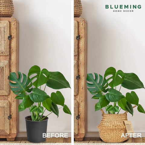 Blueming Home Decor basket planter weave detail complements modern interiors.