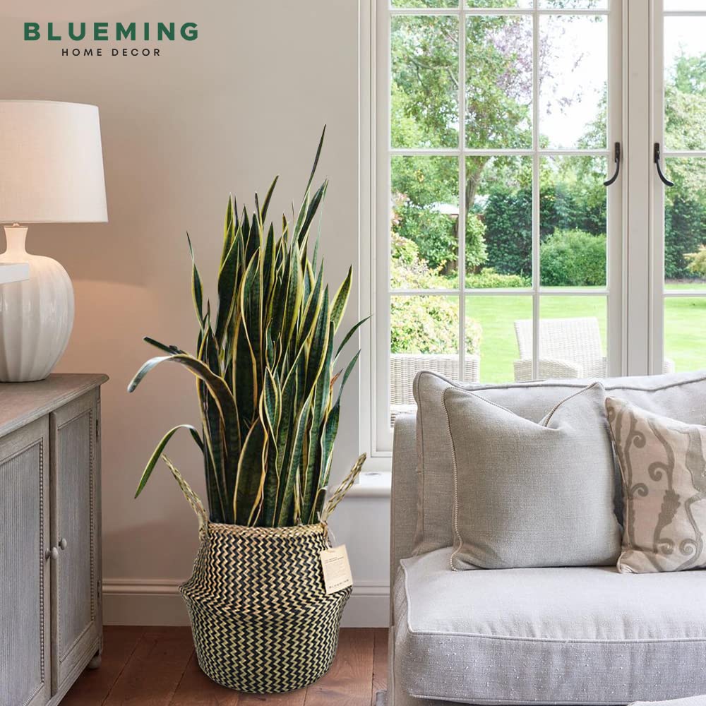 Blueming Home floor planter in seagrass weave supports 10-inch pots with lightweight style.