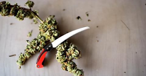 BlueNatHxRPR outdoor pruning tool ideal for camping and garden tasks.
