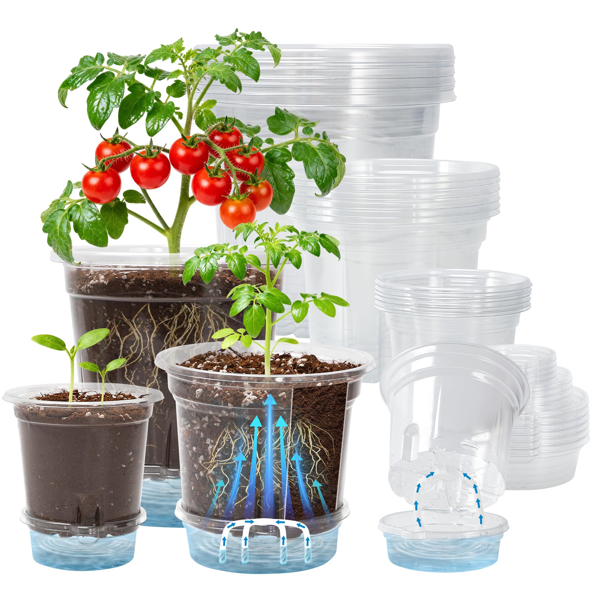 Bluepro 18-pack clear pots in three sizes, ideal for seedling starts and growth monitoring.