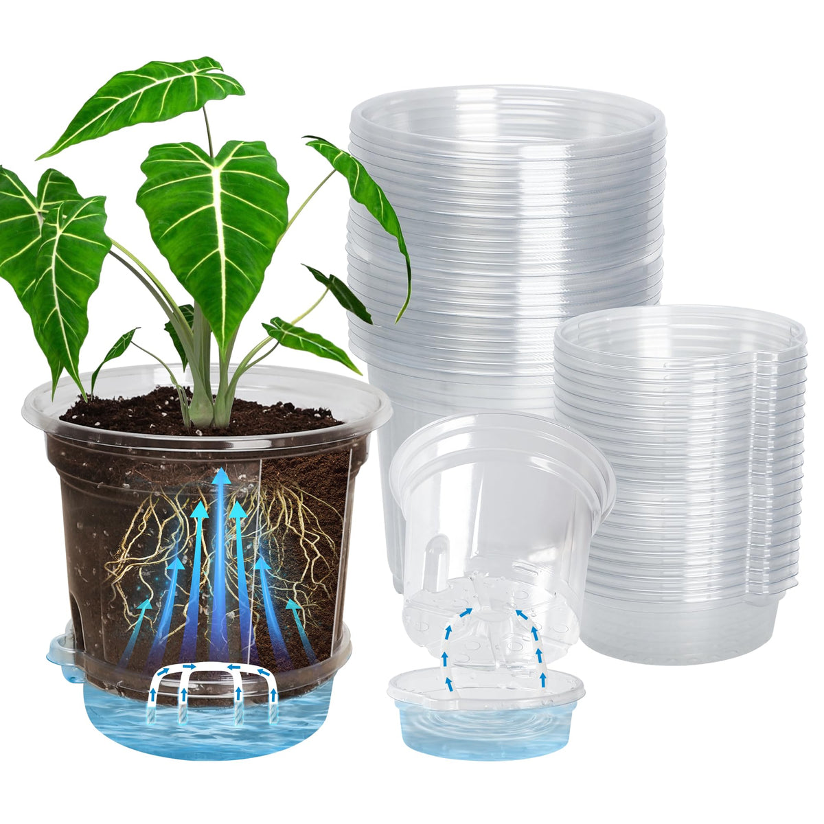 Bluepro 20-pack 5-inch clear self-watering pot with bottom tray for seedlings