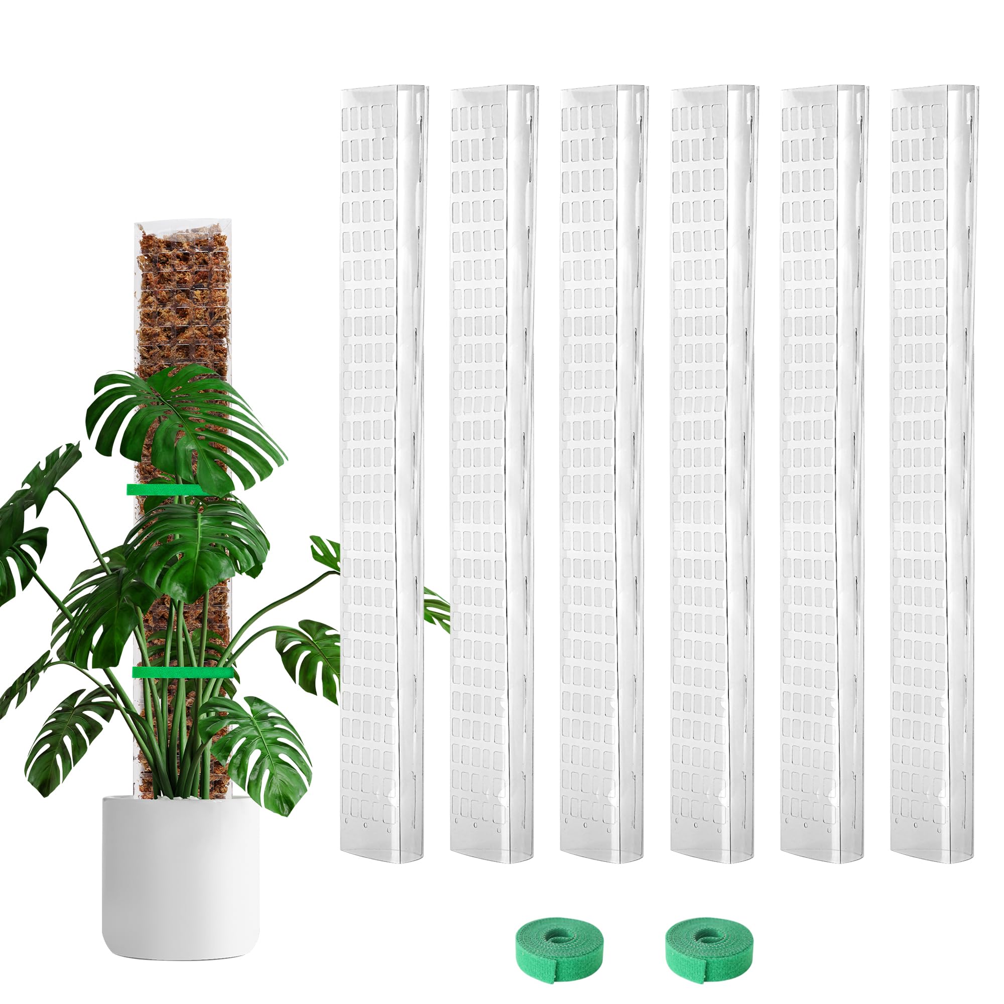 Bluepro 24-inch moss pole supports Monstera growth for vertical, healthier leaves.