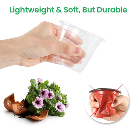 Bluepro 3.5-inch clear nursery pot for compact seed starting and care
