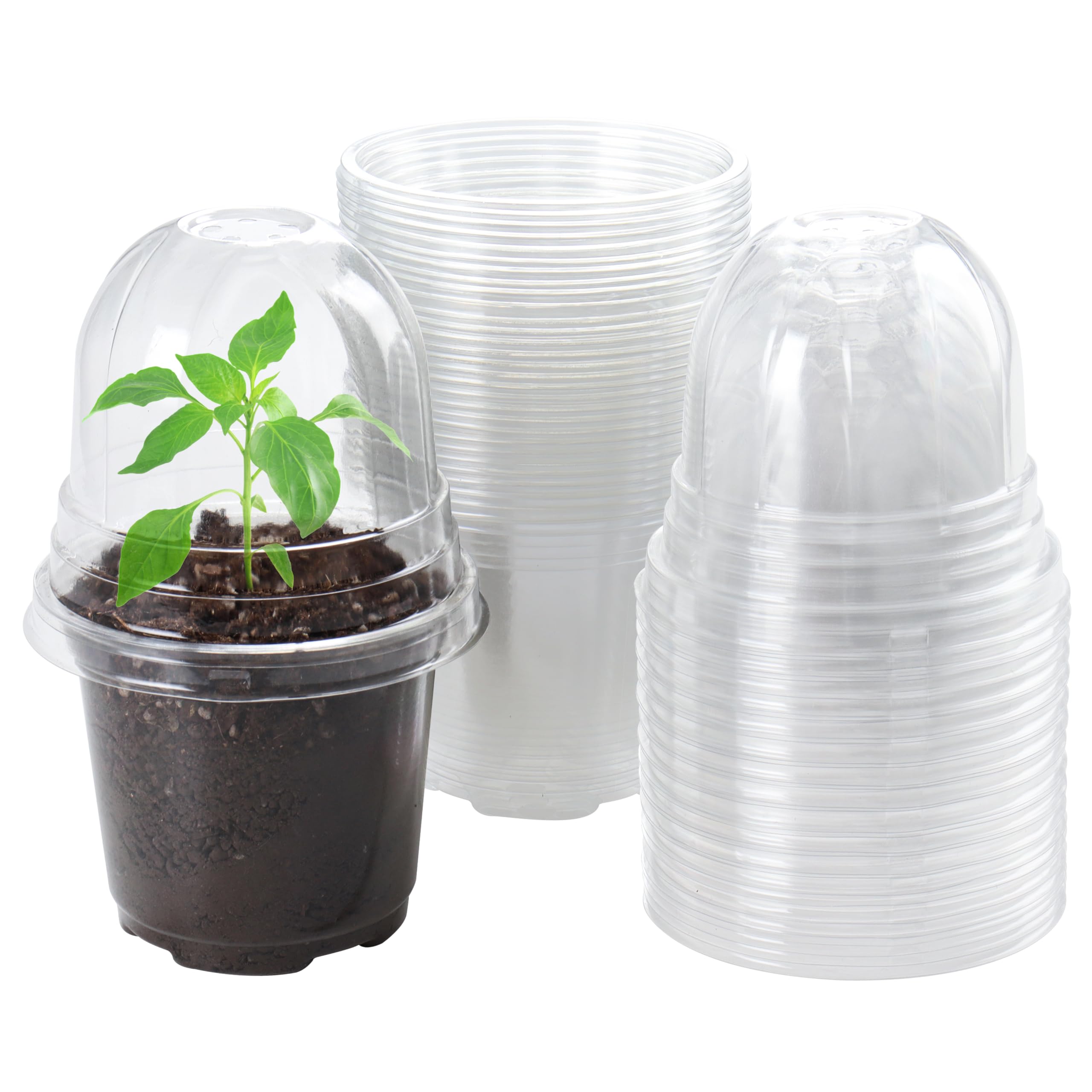 Bluepro humidity-dome 4-inch nursery pot helps maintain moisture for healthy seedlings.