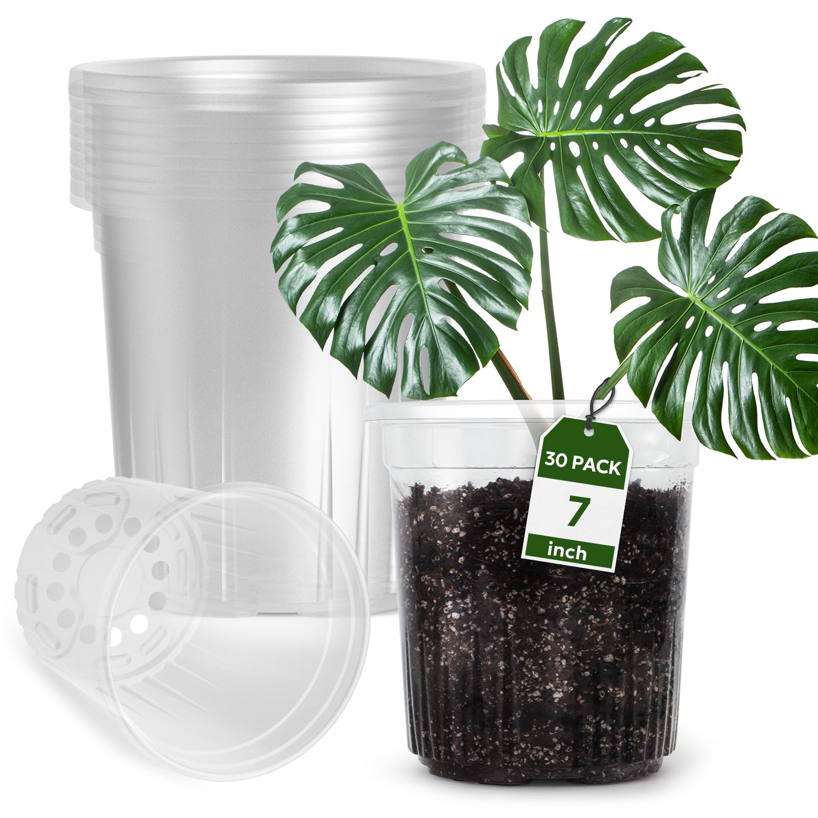 Bluepro 1-gallon reinforced clear nursery pot for reusable seedling propagation.