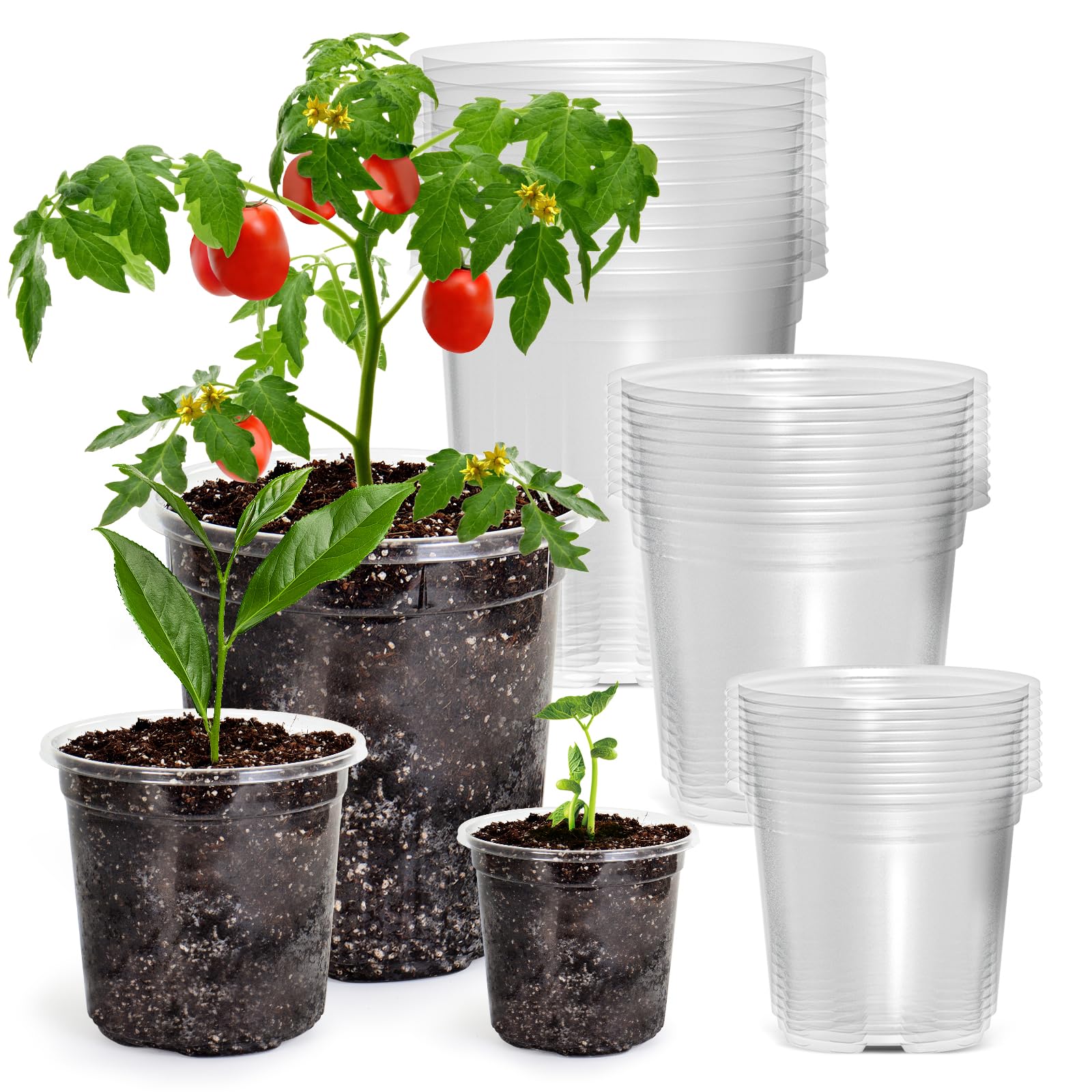 Bluepro 7-inch planter set with clear walls for root inspection and healthy growth.