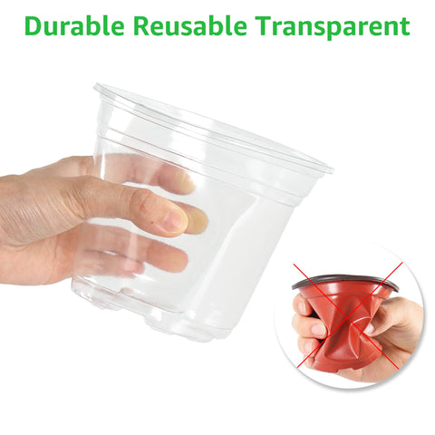 Bluepro 5 inch clear pot supports larger seedlings and cuttings.