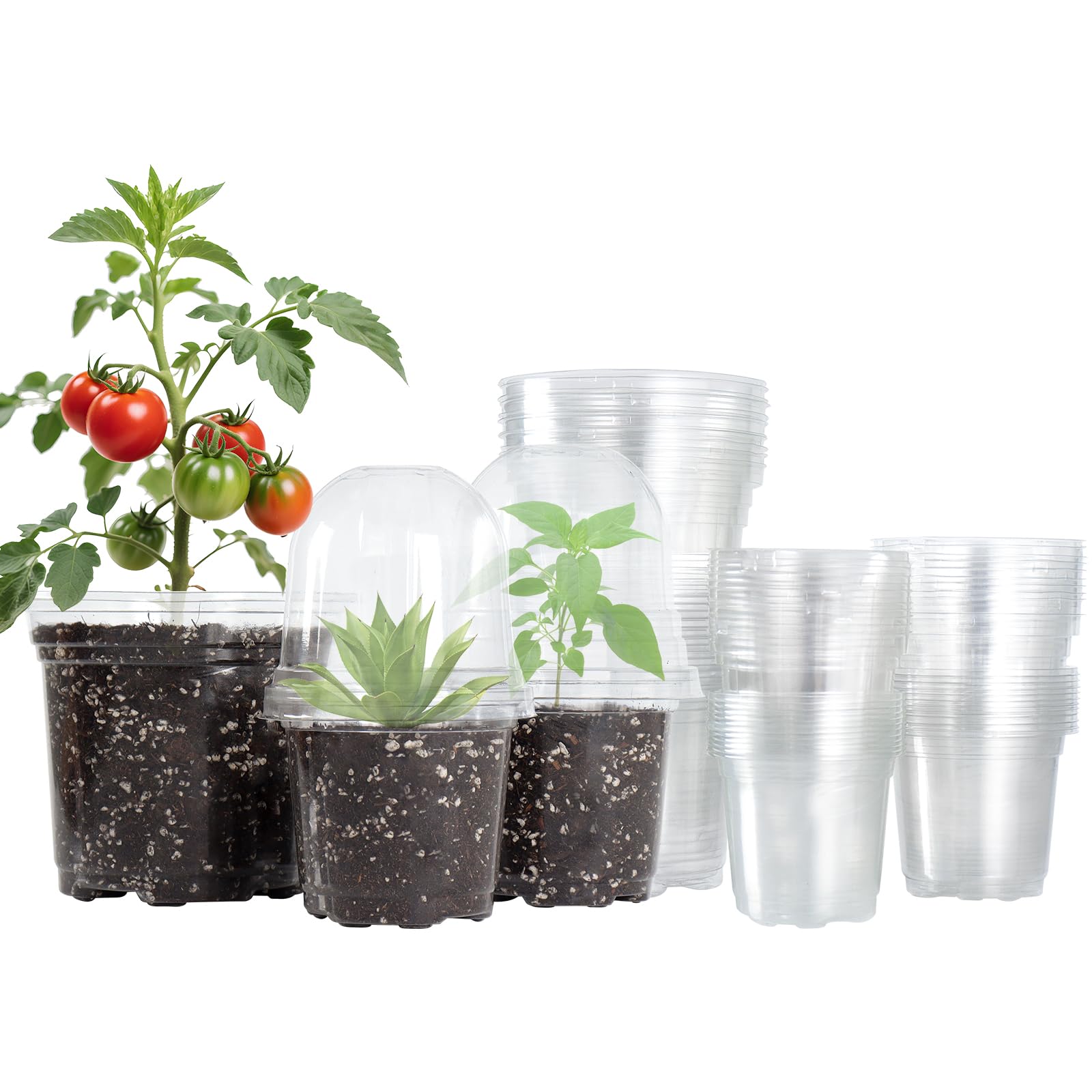 Bluepro 36 pack clear nursery pots with domes support healthy seed starting.