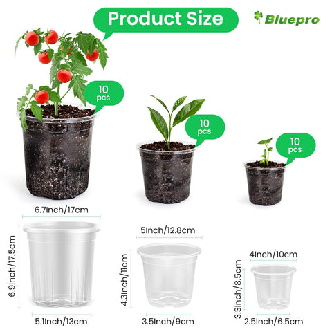 Bluepro 4-inch clear nursery pot ideal for small plants and herb seedlings.