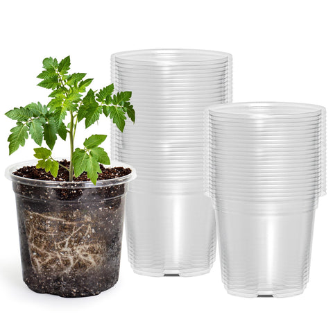 Bluepro 4-inch seedling pot with clear walls makes germination monitoring easy.
