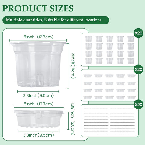 Bluepro clear self-watering pot with rope ensures steady moisture for herbs and houseplants