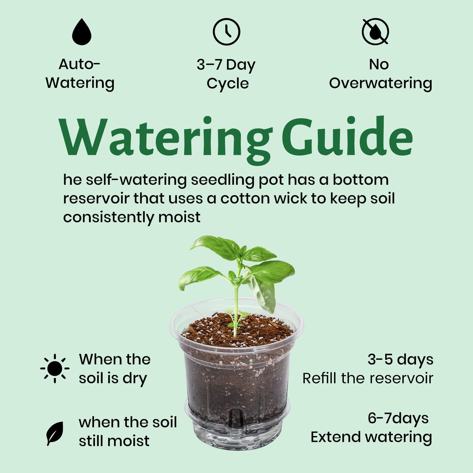 Bluepro 5-inch nursery pot designed for easy seedling transplanting