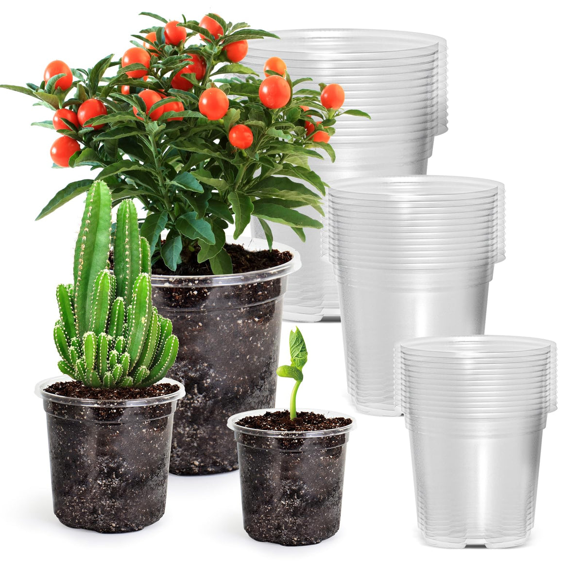 Bluepro 5-inch clear nursery pot showing durable, reusable seed starting.