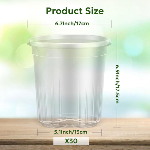Bluepro 7-inch transparent plant pot with clear walls for root visibility.