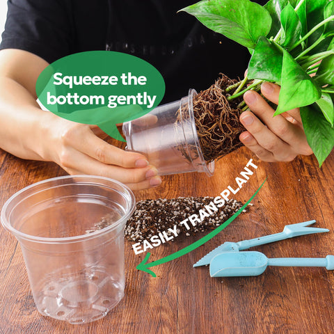 Bluepro bottom-drainage pots help with proper drainage during seedling propagation.