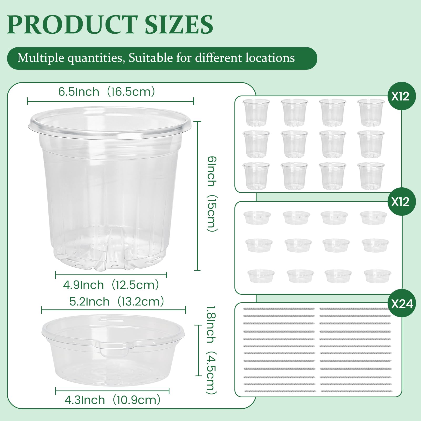 Bluepro bottom water tray and rope demonstrate self-watering in action.