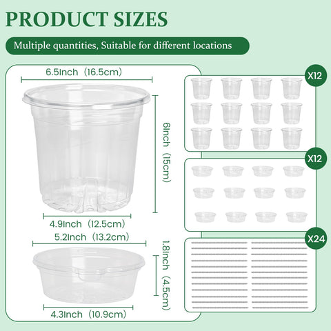 Bluepro bottom water tray and rope demonstrate self-watering in action.