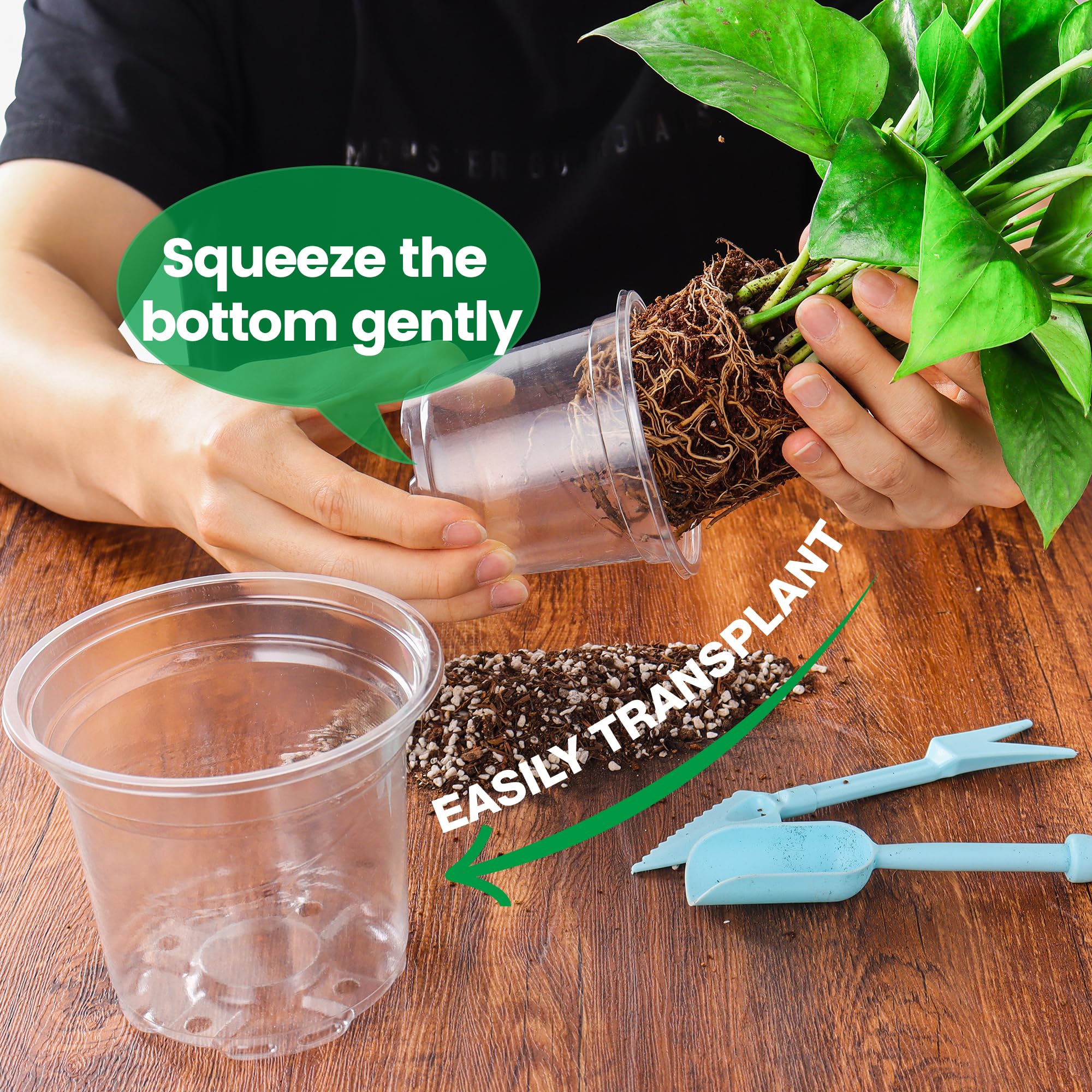 Bluepro clear nursery pot 3-5-inch suitable for herbs and cuttings.