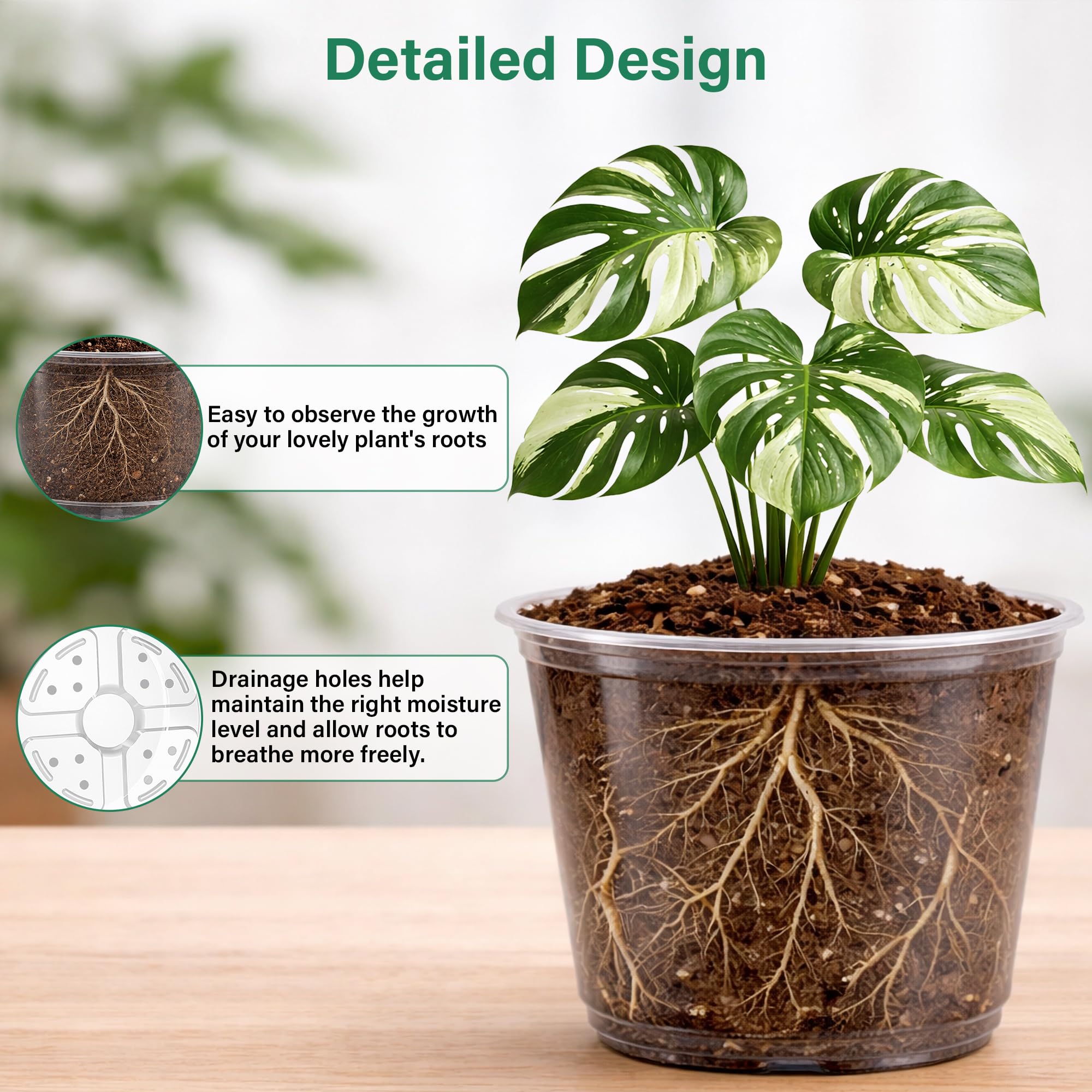 Bluepro clear nursery pot 5-inch ideal for veggie starts and cuttings.