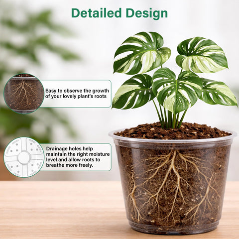 Bluepro clear nursery pot 5-inch ideal for veggie starts and cuttings.
