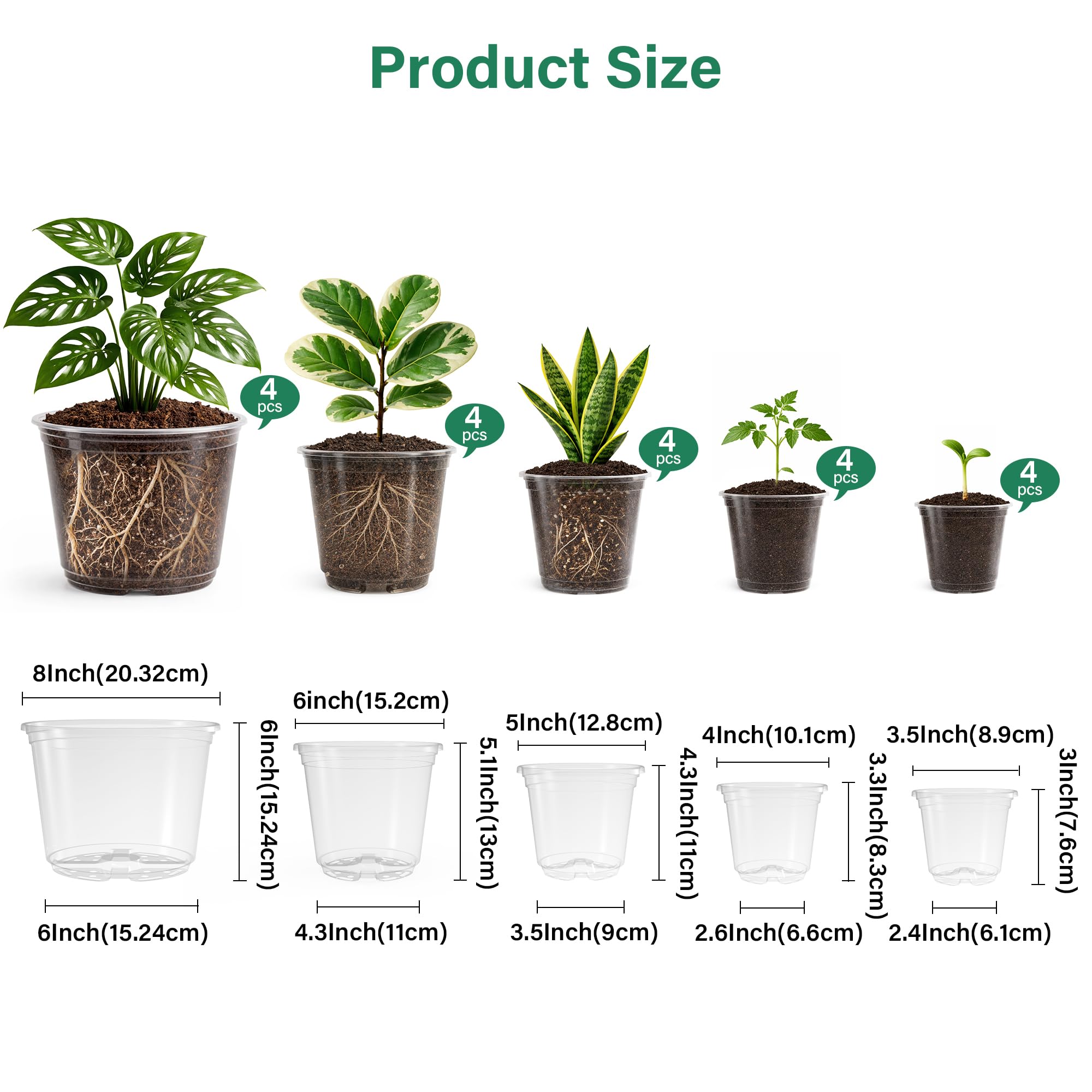 Bluepro clear nursery pot 6-inch shows root growth through crystal walls.