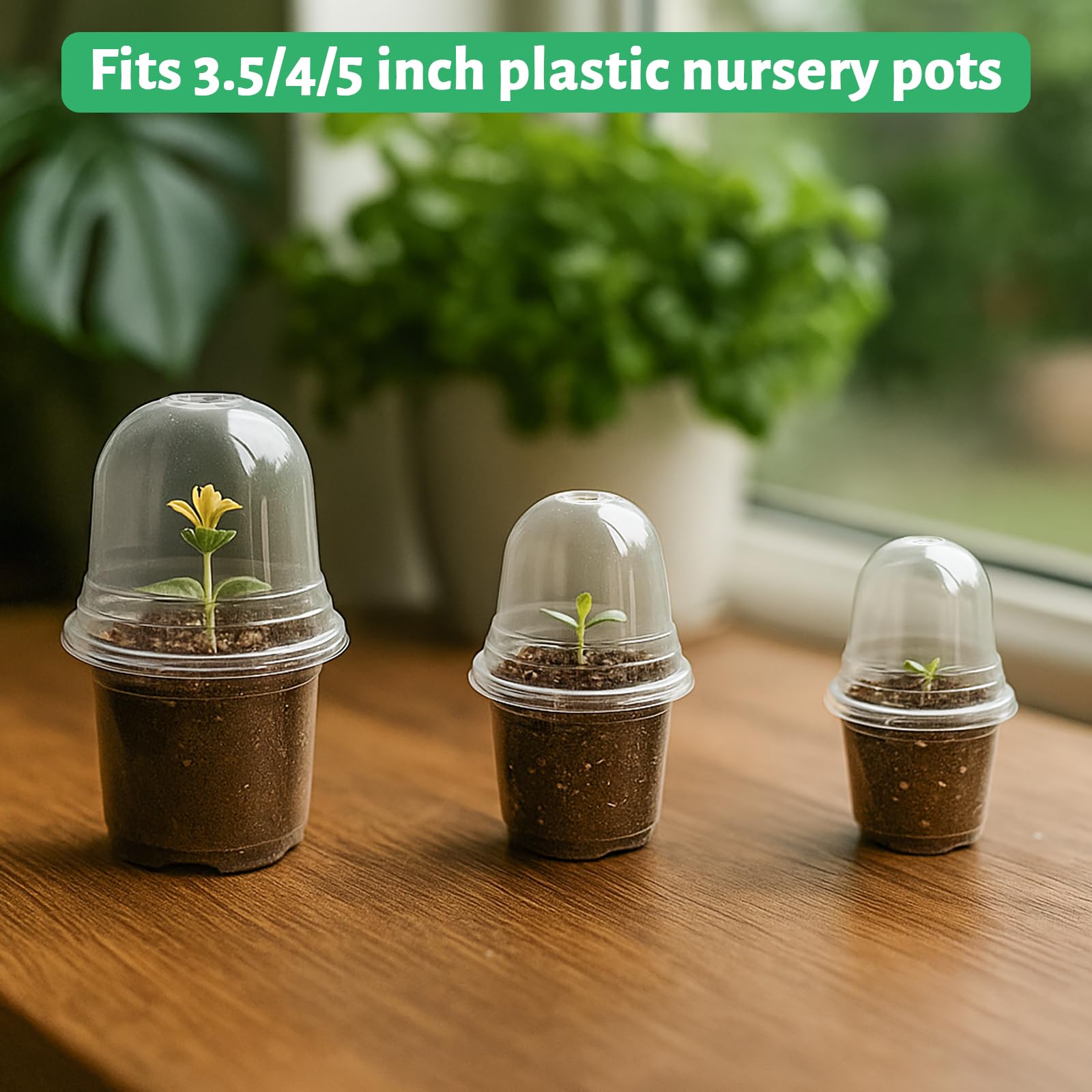 Bluepro dome ventilation openings enable balanced airflow for seedlings.
