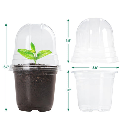Bluepro durable-material nursery pot stands up to repeated use with sturdy edges.