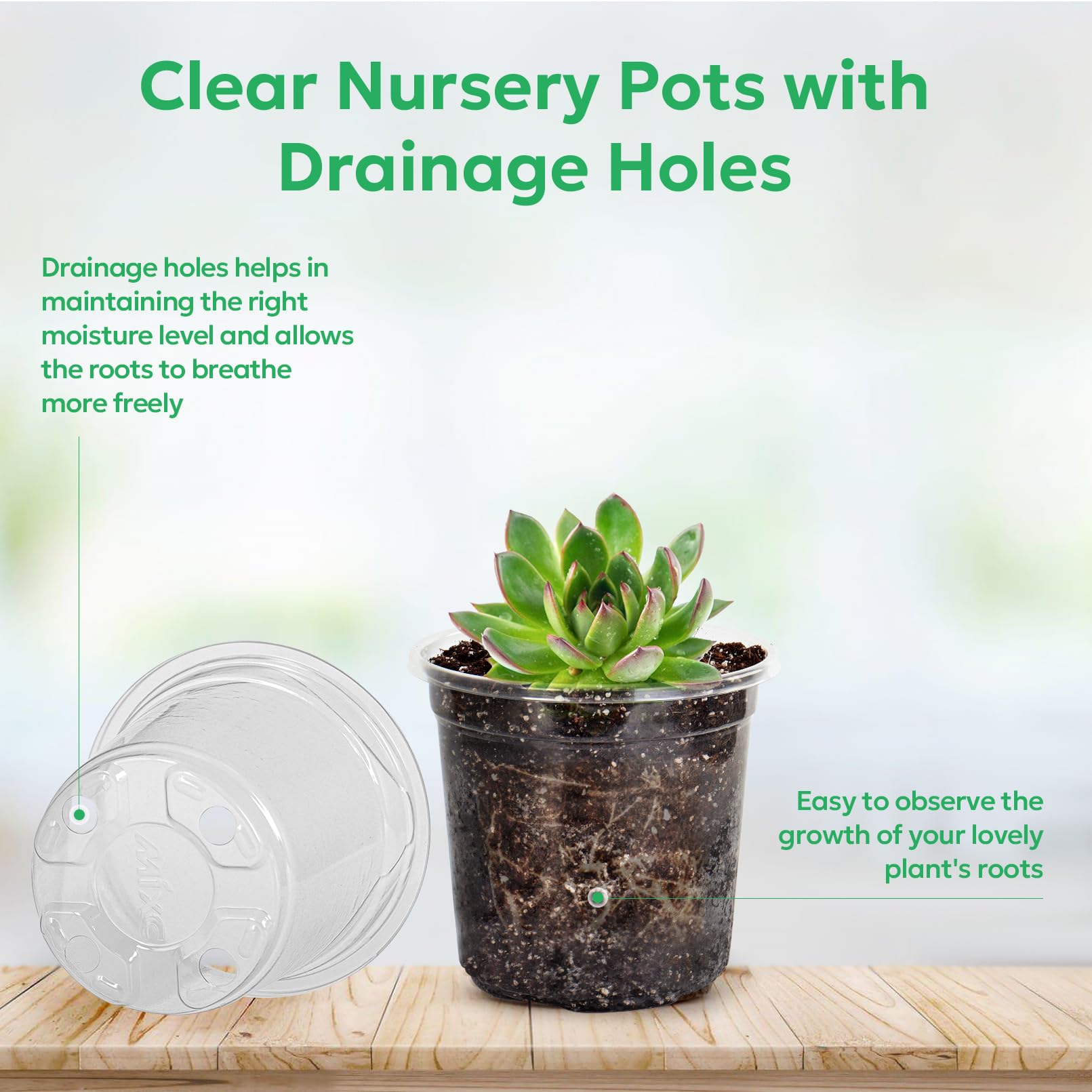 Bluepro easy-transplant seed pot for quick seedling removal