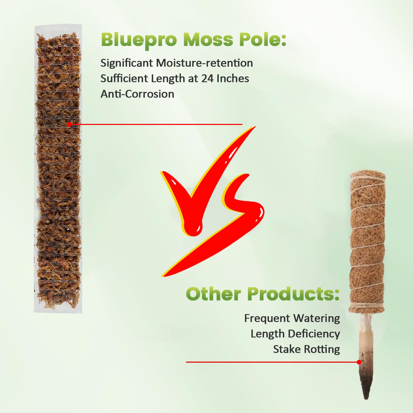 Bluepro close-up shows flat surface attachment area for aerial roots.