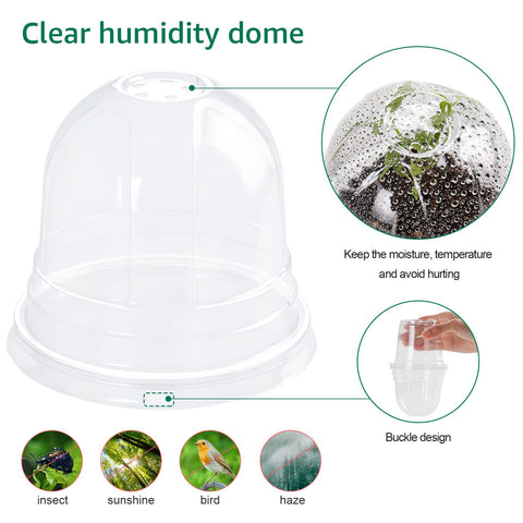 Bluepro drainage-hole nursery pot supports root respiration and reduces waterlogging.