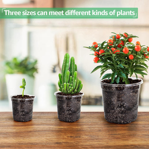 Bluepro PET plastic is lightweight and reusable for ongoing plant propagation.