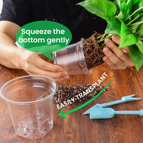 Bluepro reinforced PET pots are durable and reusable for multiple cycles.