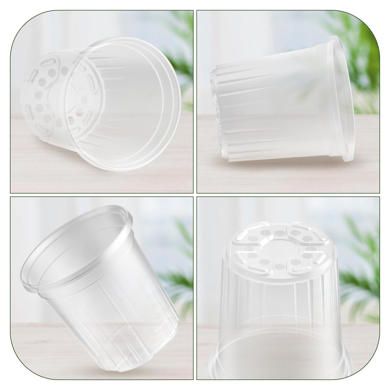 Bluepro root cutting propagation container suitable for cuttings and young plants.