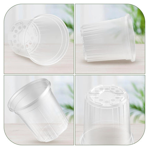 Bluepro root cutting propagation container suitable for cuttings and young plants.