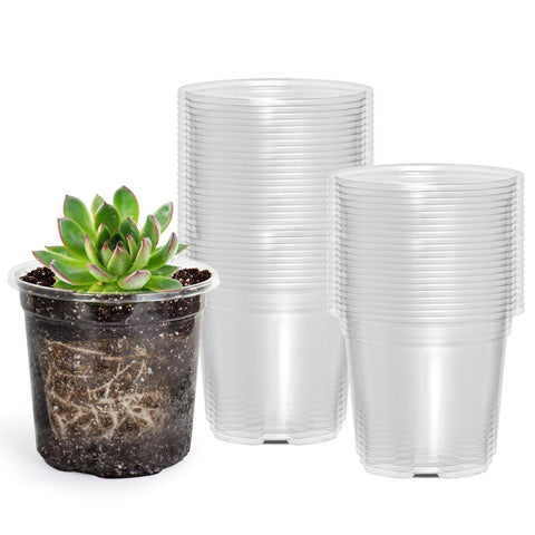 Bluepro 3.5-inch clear seed pot for easy seedling monitoring