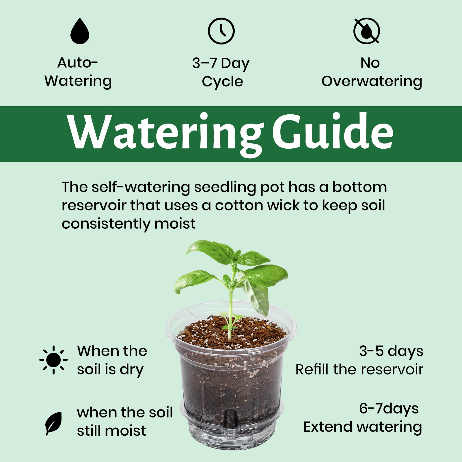Bluepro versatile pots support seedlings through to herbs and houseplants.