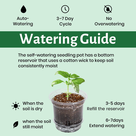 Bluepro versatile pots support seedlings through to herbs and houseplants.