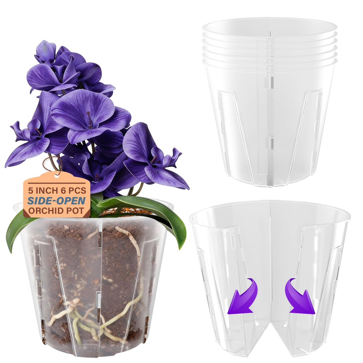 Bluepro side-open orchid pot 5inch with clear walls for easy root observation.