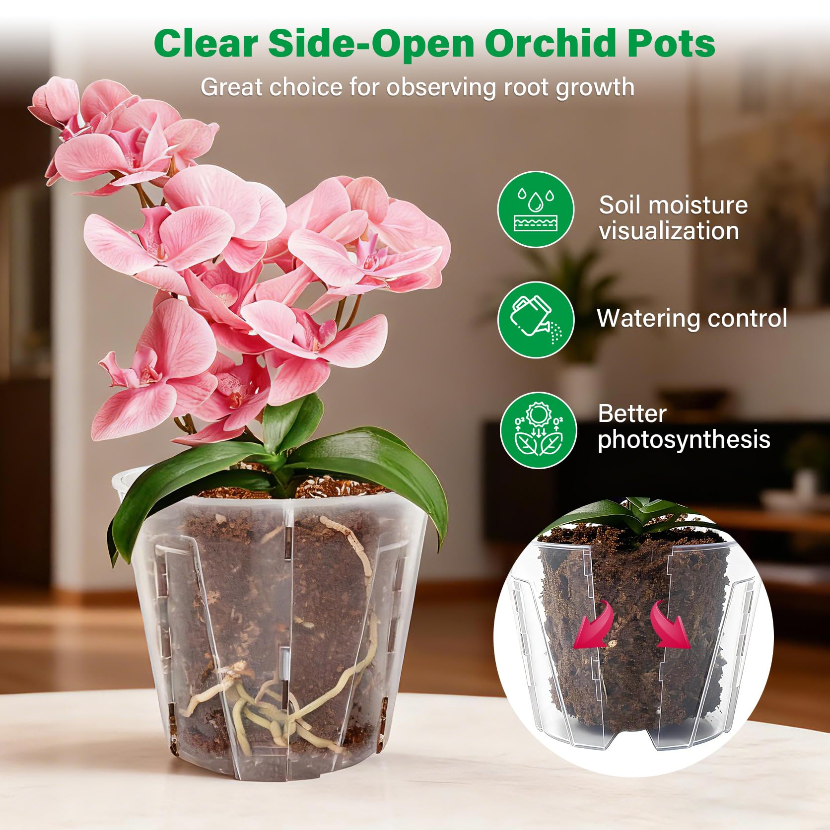 Bluepro side-open orchid pot 5inch ventilation and drainage support healthy roots.