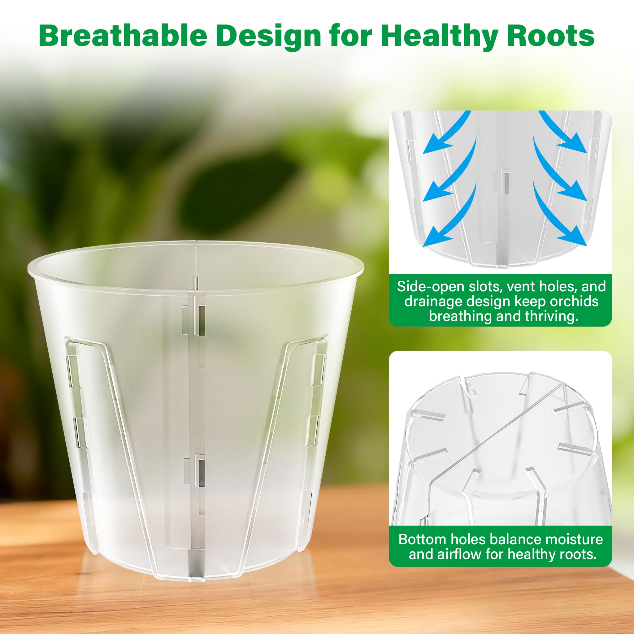 Bluepro side-open orchid pot 5inch transparent walls help monitor root health.