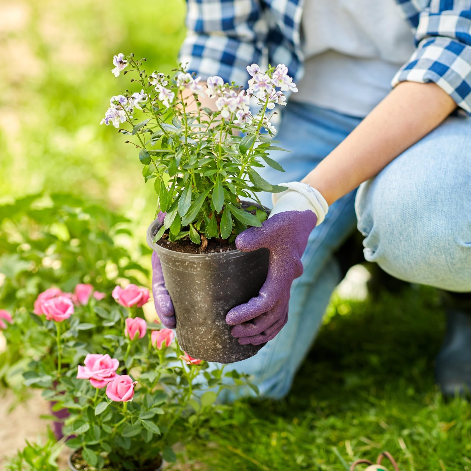 Bluepro transparent plant pot enables quick health checks of roots and growth.