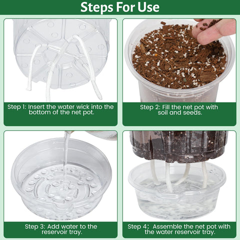Bluepro transparent pot enables root observation and moisture checks.