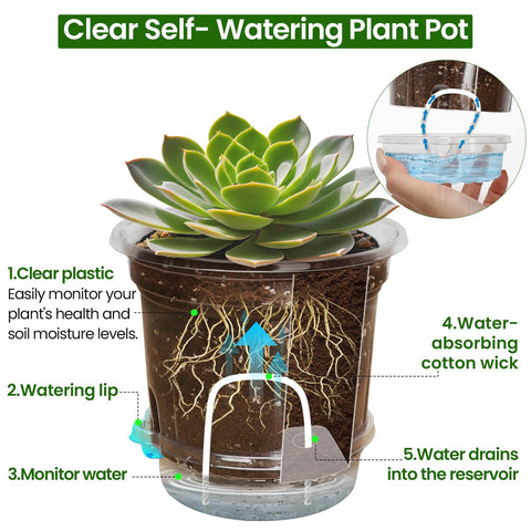 Bluepro transparent seedling pot highlighting drainage holes and root view